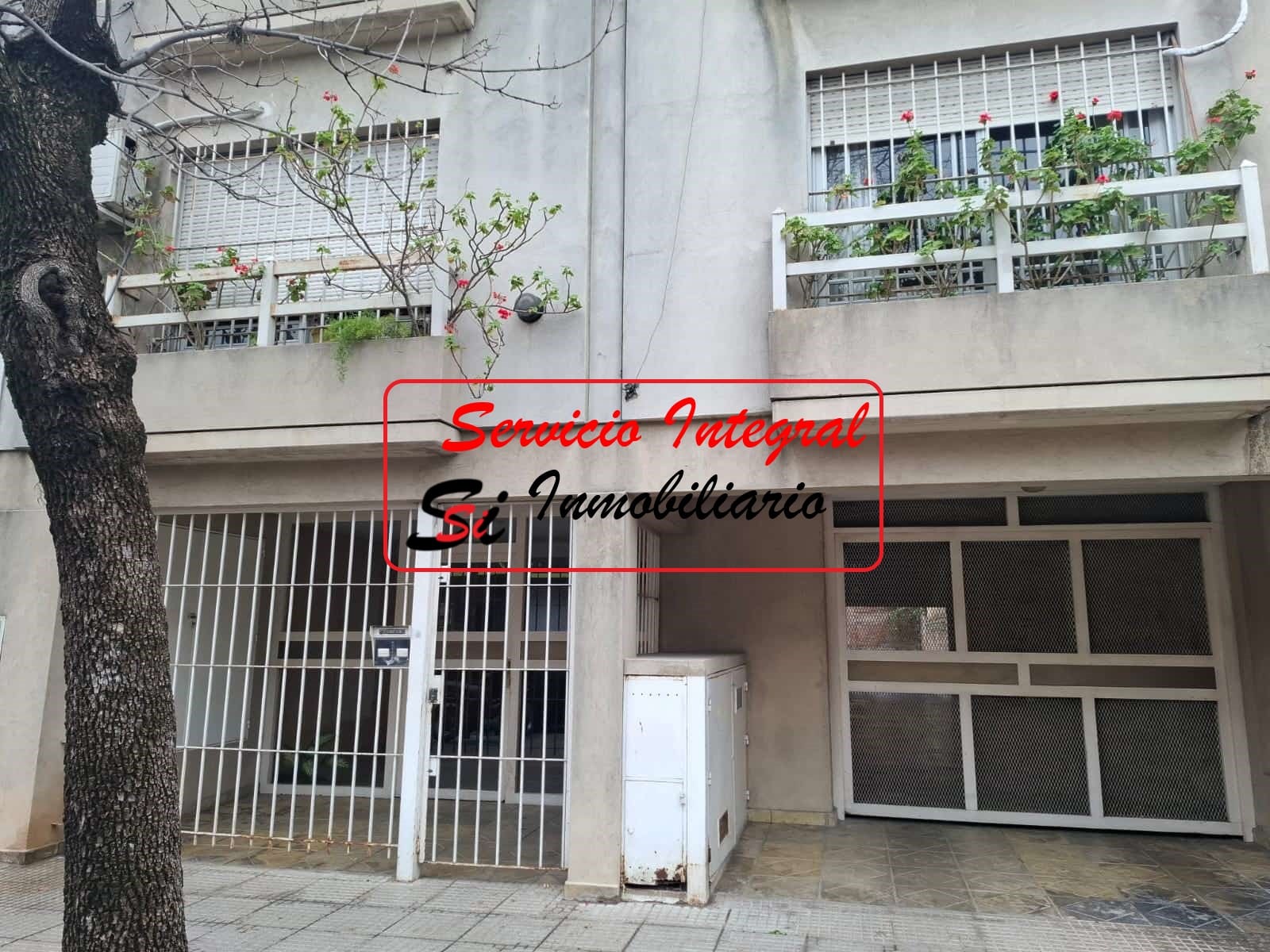 NT Productos y Servicios